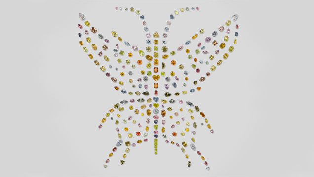 オーロラバタフライオブピース