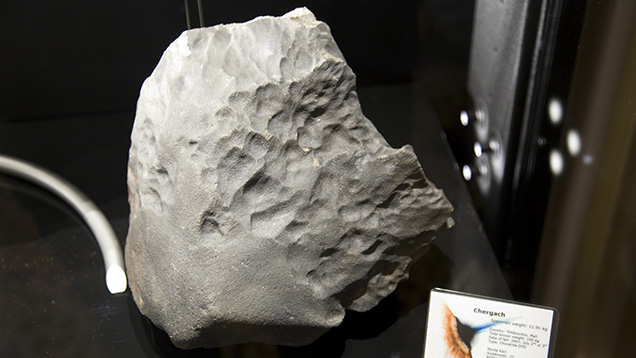 恐竜の展示、ブルーウォール、31トンの隕石、ヘイデンプラネタリウムでは、一年中訪問者を楽しませてくれます。