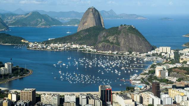 記事(ブラジル)