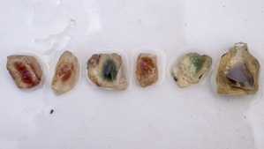 宝石品質のサンストーン ラブラドライトには、薄い黄色や薄いピンクから濃いオレンジ、深い赤色まで幅広い色がある。 緑色は最も希少性が高い。 これらの原石は、米国オレゴン州のSunstone Butte（サンストーンビュート）鉱山で採掘されたものである。 – Robert Weldon