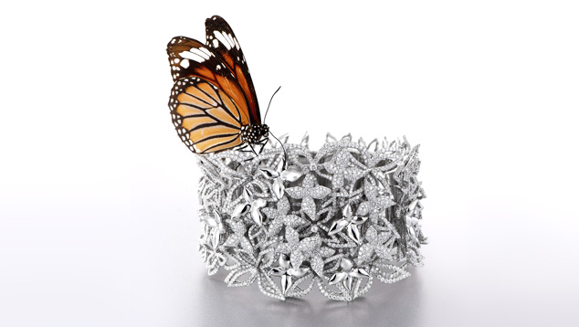 钻石小鸟 (Zbird) 是中国钻石和婚庆珠宝顶级零售商之一