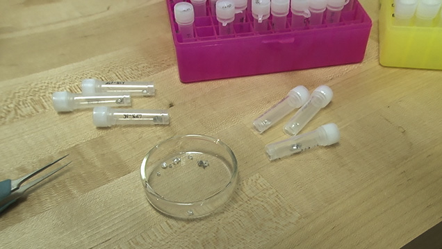 MF - RN Pay Inclusions SS 157931 636x358