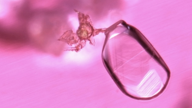 角閃石とマイカ