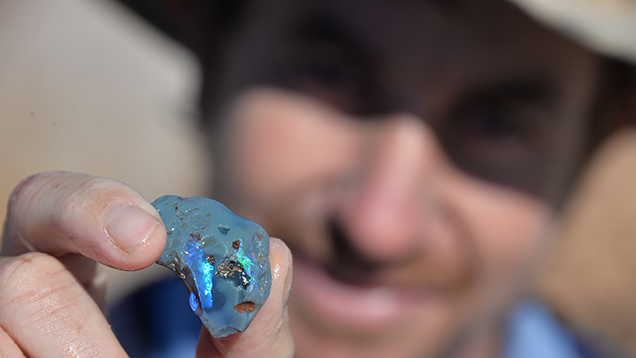 拿着蛋白石的男子