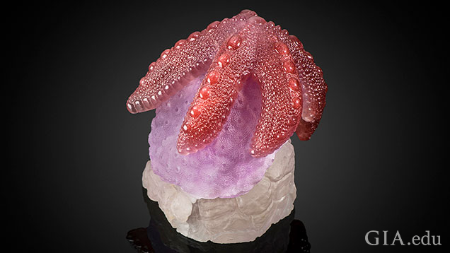 サンゴの上のピンクのヒトデ。