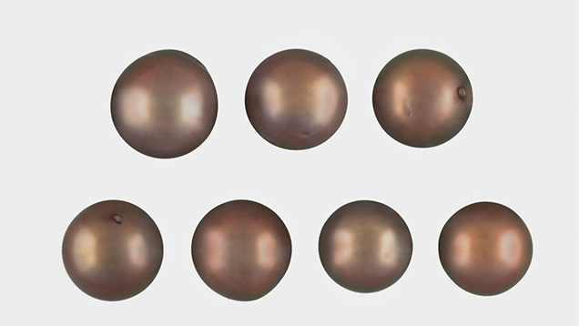 漂白処理された真珠