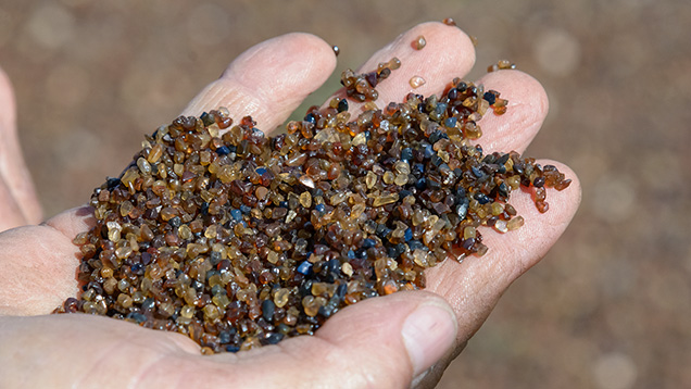 サファイア選鉱物を持つ手。