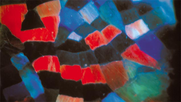 ハーレクインパターン