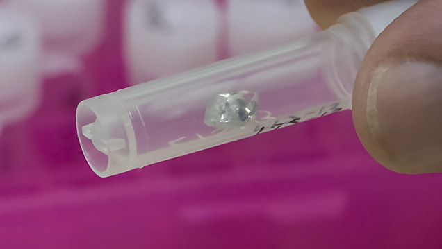 IMG - RN Pay Inclusions 157932 636x358