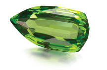 IMG - WN14 EQ - Transformation August Peridot 071907 216x142