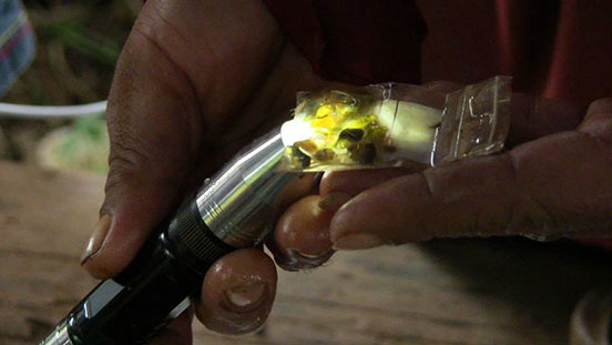 During a trip to Chanthaburi, a specialized light was used to examine the color and translucence of a gemstone. These are the kinds of skills that you’ll learn and that will make you a professional gemologist.