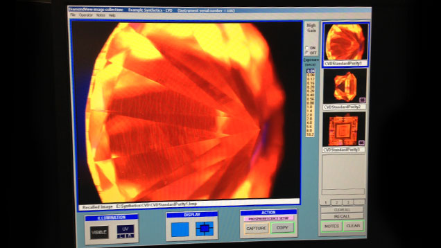 DiamondView スクリーニング業界分析