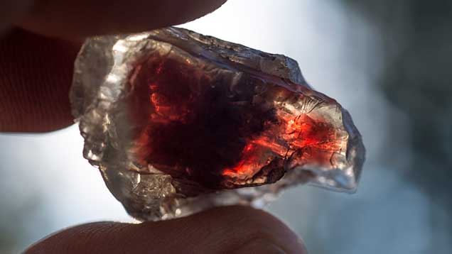 IMG - FA13 Ponderosa Sunstone SS1 154769 636x358 