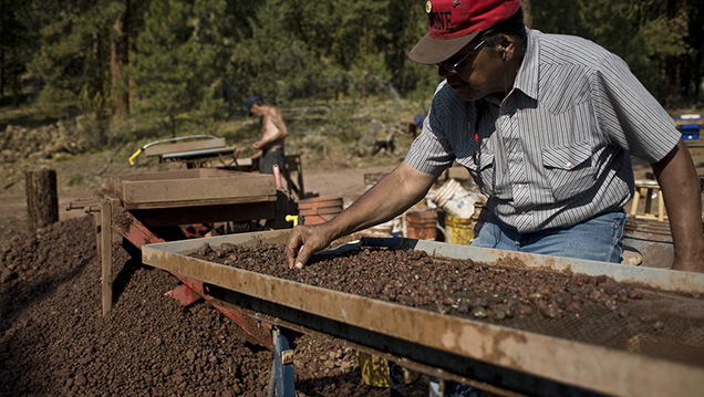 The Ponderosa partners with the local tribal outreach program to use Native American pickers. - © 2009, Jeff Jessing, Nature Revealed Photography; courtesy Desert Sun Mining Group