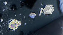 Figure 2. When viewed from the opposite side of the quartz host, the same gersdorffite inclusions display as hexagons. Photomicrograph by Nathan Renfro; field of view 8.11 mm.