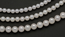 Three loose white freshwater pearls above three strands of freshwater and akoya cultured pearls of varying sizes 