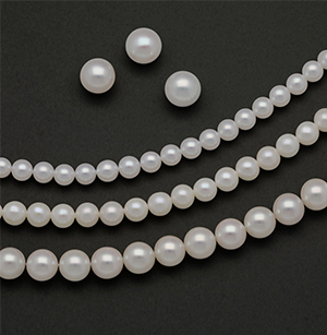 Three loose white freshwater pearls above three strands of freshwater and akoya cultured pearls of varying sizes 