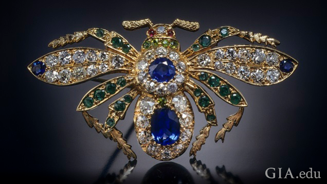 A view from behind of a bejeweled winged insect.