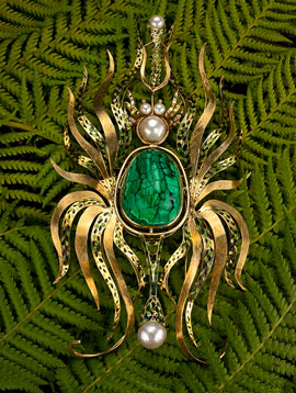 引人注目的蜘蛛