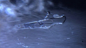 ジェレメジェバイト（エレミア石）のはっきりとした多相内包物 128倍に拡大。