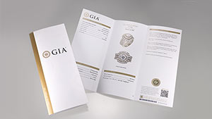 Designed for clients who seek in-depth insights into every aspect of a jewelry piece. Comprehensive analysis of the diamonds in an item including number of stones, shape, estimated carat weight, color range, and clarity range