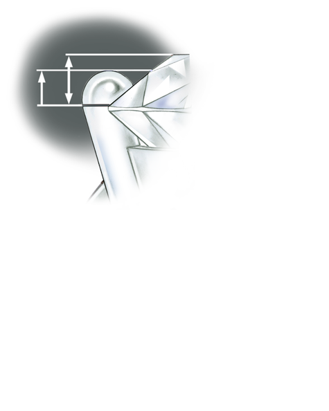 プラチナプロングがあるリングのセッティングの品質を評価します