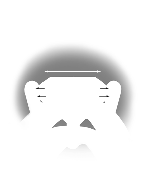 プラチナプロングがあるリングのセッティングの品質を評価します