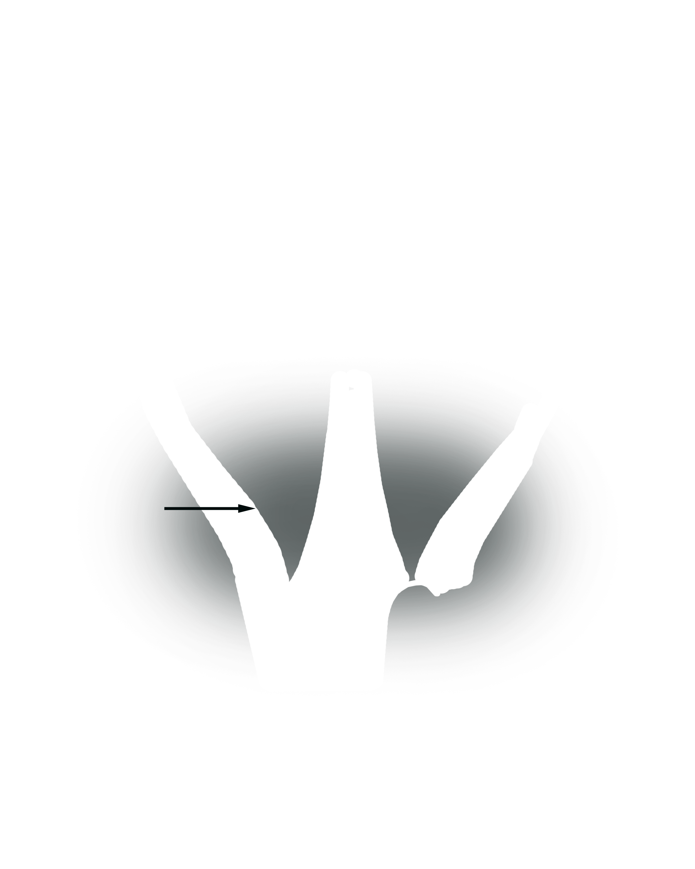 In this example, a sales associate has sold a loose diamond and a platinum ring mounting.