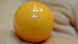 ハノイのメロ女性の家で見たメロ真珠。