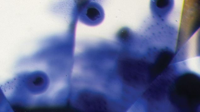 含深色金红石晶体的蒙大纳州蓝宝石