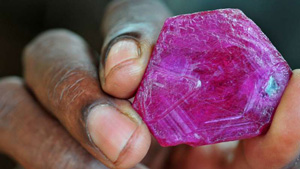 2009 年 9 月，楠普拉展出产自莫桑比克蒙特普埃兹区的大颗光滑红宝石晶体。 摄影：Vincent Pardieu（文森特·珀杜）/GIA。