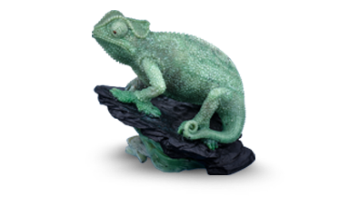 Dreherの展示、CEカメレオン