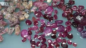 このレポートに使用された標本。 標本の左側が原石、右側がその原石を加工処理をしたもの、央中は加工処理した原石をカットしたものです。