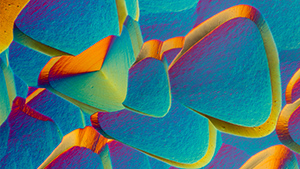 Spring 2025 Micro-World Banner