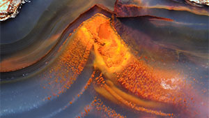 Summer 2025 Micro-World Banner