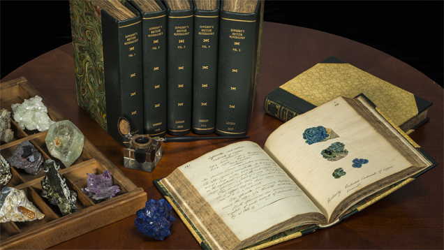 索尔比（Sowerby）和普洛比（Proby）书籍套装。