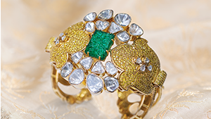 IMG - WN16 Jaipur Pink City 300x169