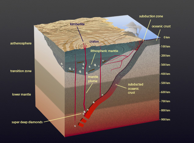 IMG - Pay Inclusions Diagram fig4