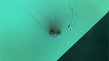 Figure 2. Top view of an altered etch tube in tourmaline resembling the face of a bird with a fuzzy tuft. Photomicrograph by Jamie Price; field of view 1.48 mm.