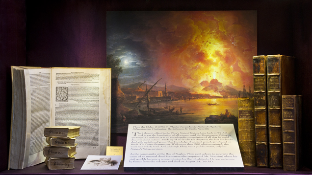 平片到平片 Pliny 展览实例