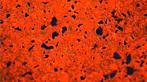 ダイヤモンドビューの強力な紫外線下では、黒ダイヤモンドサンプルは緑か赤色からオレンジ領域のどちらかの蛍光を示します。