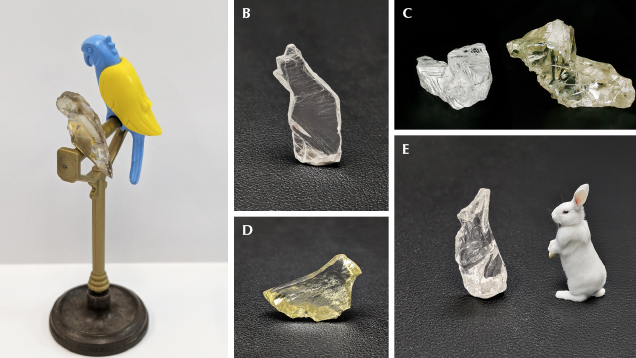 Diamond crystals in the shape of a parrot, a cat, two dogs, a bird and a rabbit.