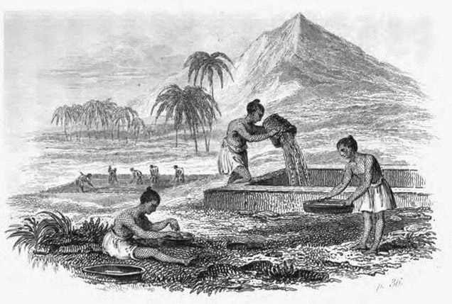 ゴルコンダでのダイヤモンドの洗浄