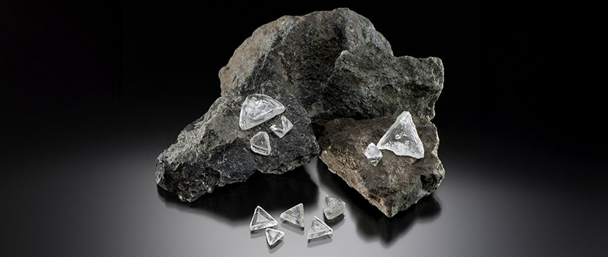 Fall 2025 G&G Hero RN