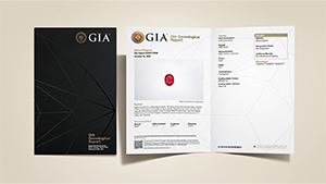 GIA Colored Stone Identification Report with main components of the report on display, and colored stones and pearls on the front cover.