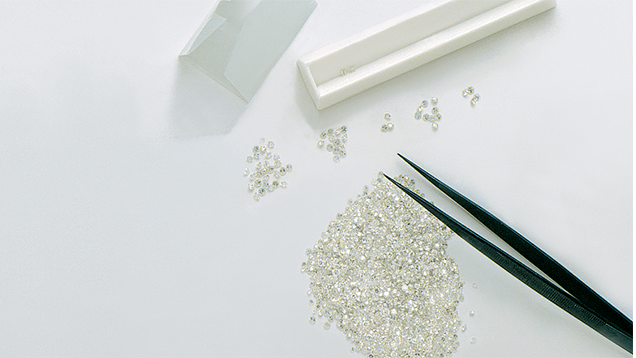 Sorting melee on white background