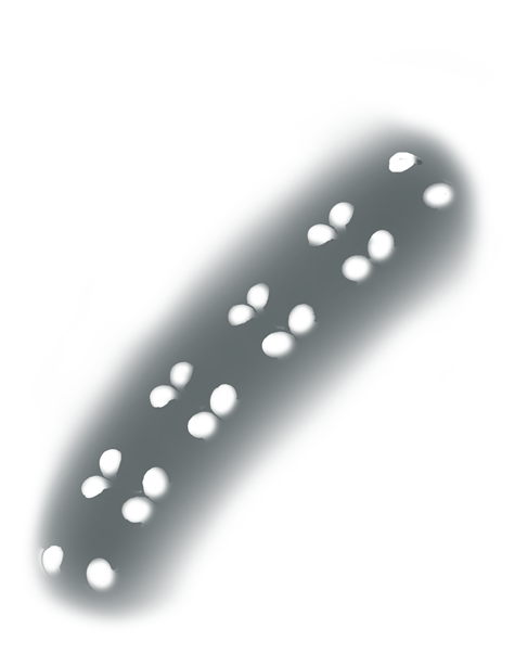 Bead prongs are proportionally sized, consistently rounded, and smooth so the ring is comfortable to wear