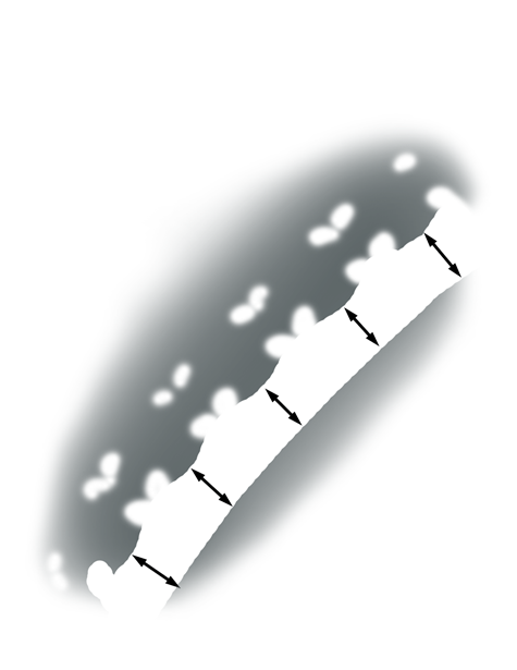 Bead prongs are proportionally sized, consistently rounded, and smooth so the ring is comfortable to wear