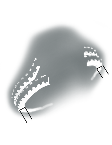 Shank thickness is substantial enough to support bead-style settings securely during normal wear