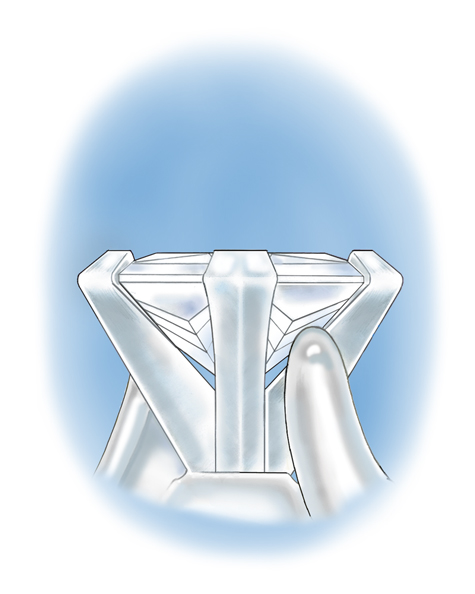 Close-up illustration of the mounting of a platinum solitaire ring